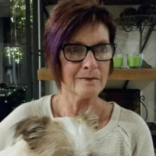 hunderflusterin image 0