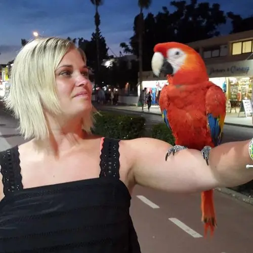 maddiliebex image 1